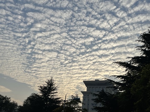 I remember the day I received the national scholarship for the first time, the clouds were rolling and the sky was clear.